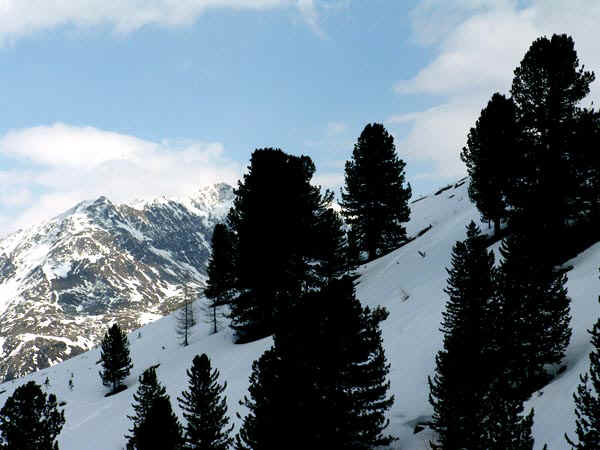 14b.jpg (82674 bytes)