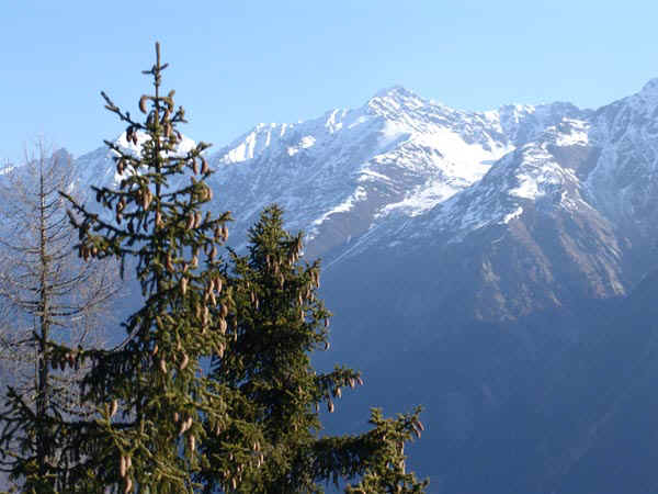 17b.jpg (80115 bytes)