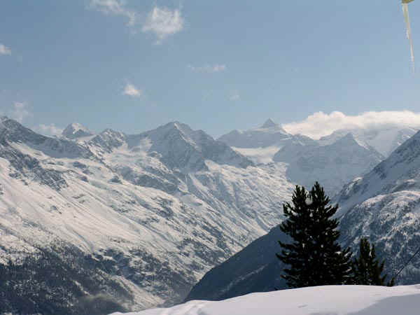 1b.jpg (67511 bytes)