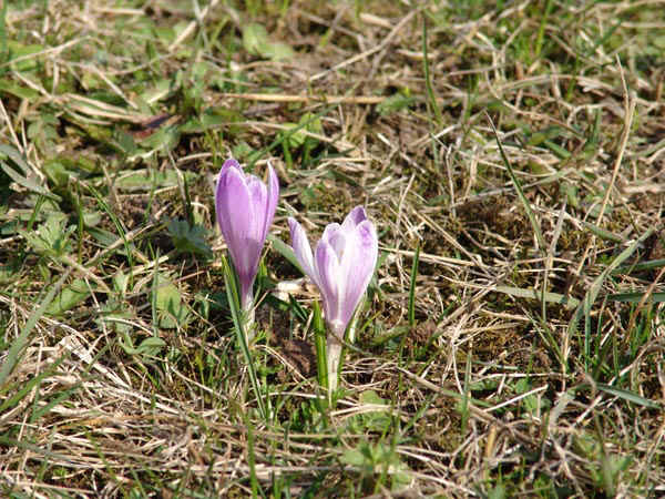 3b.jpg (137691 bytes)