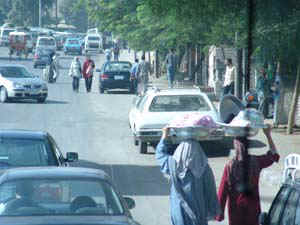 11.jpg (43130 bytes)