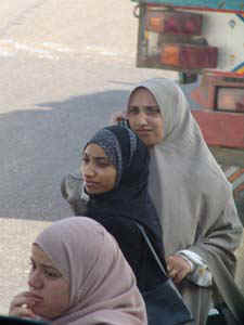 12.jpg (33308 bytes)