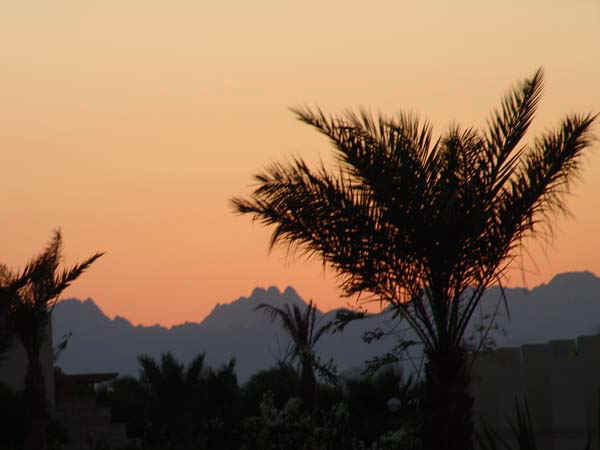 30b.jpg (47826 bytes)