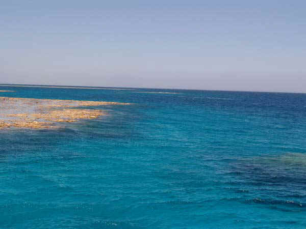 30b.jpg (47826 bytes)