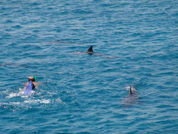 30b.jpg (47826 bytes)