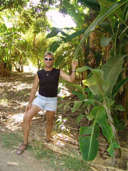 30b.jpg (47826 bytes)