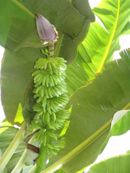 30b.jpg (47826 bytes)