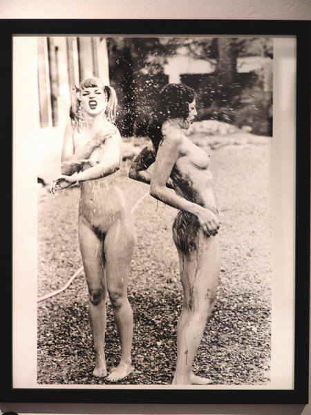 1b.jpg (111613 bytes)