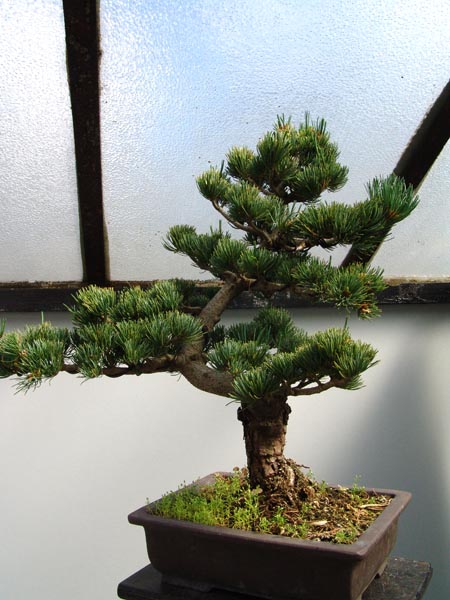 1b.jpg (111613 bytes)