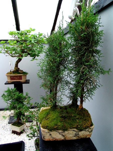 1b.jpg (111613 bytes)