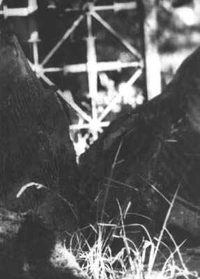 20b.jpg (70154 bytes)