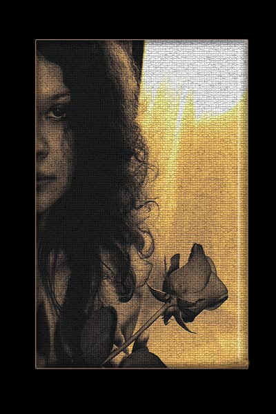 20b.jpg (70154 bytes)