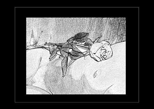 20b.jpg (70154 bytes)