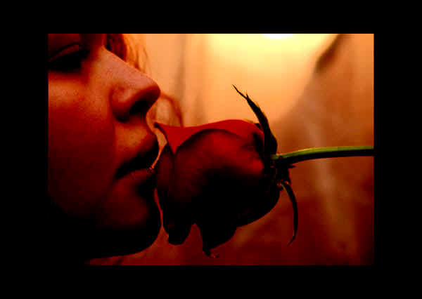 20b.jpg (70154 bytes)