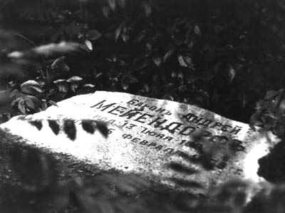 20b.jpg (70154 bytes)