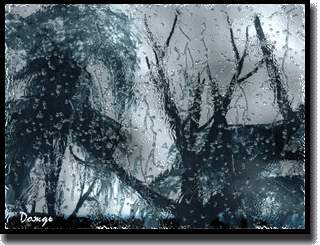 p9.gif (57654 bytes)