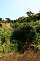 Ров вдоль восточной стены