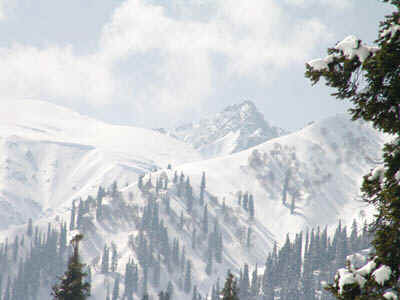 1b.jpg (111613 bytes)