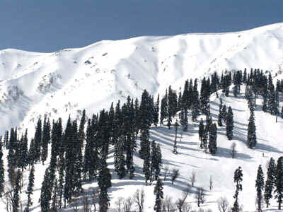 1b.jpg (111613 bytes)