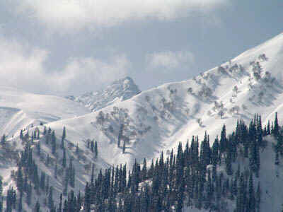 1b.jpg (111613 bytes)