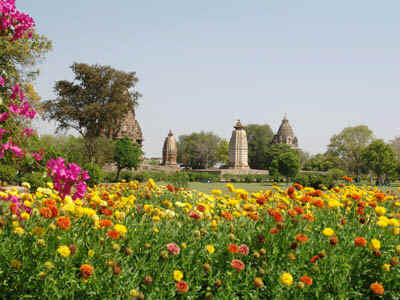 1b.jpg (111613 bytes)