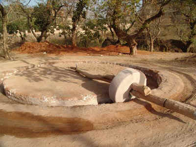 1b.jpg (111613 bytes)