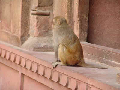 1b.jpg (111613 bytes)