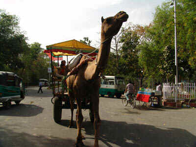 1b.jpg (111613 bytes)