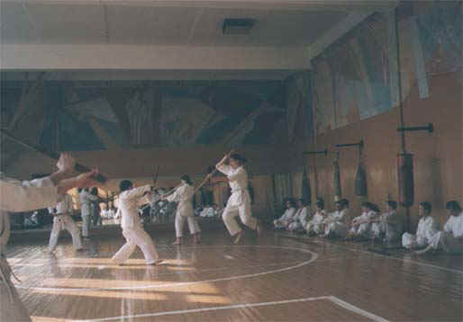 2b.jpg (30051 bytes)