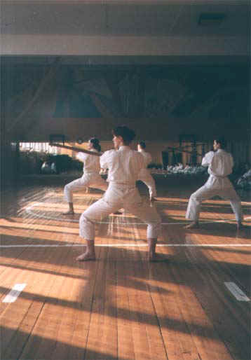 3b.jpg (34093 bytes)