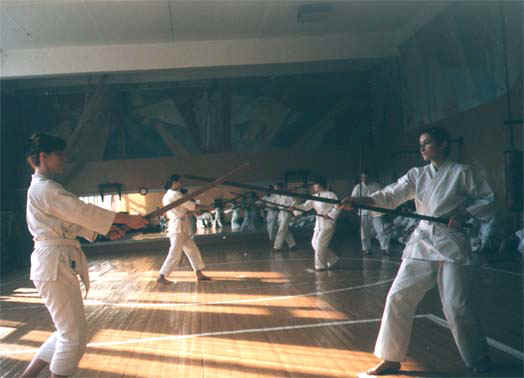 4b.jpg (37939 bytes)