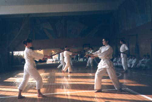 5b.jpg (34534 bytes)