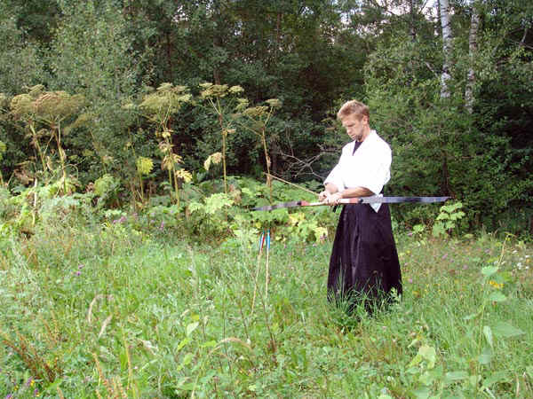 2b.jpg (39896 bytes)