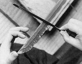 p16.jpg (9209 bytes)