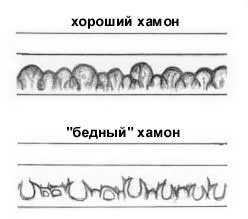 p20.jpg (6719 bytes)