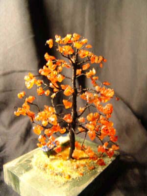 4b.jpg (73195 bytes)