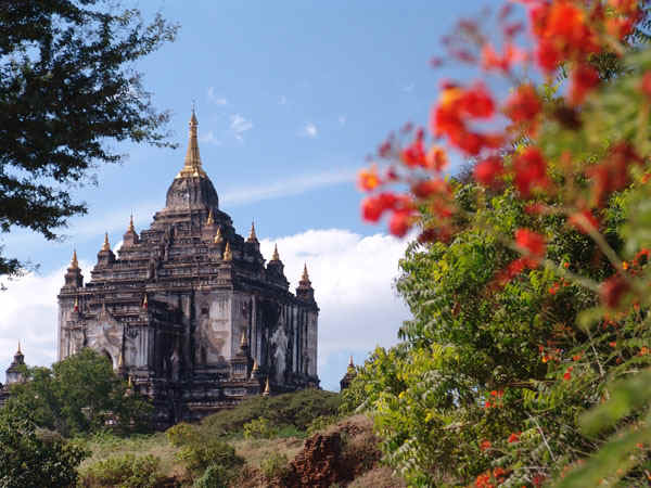 1b.jpg (111613 bytes)