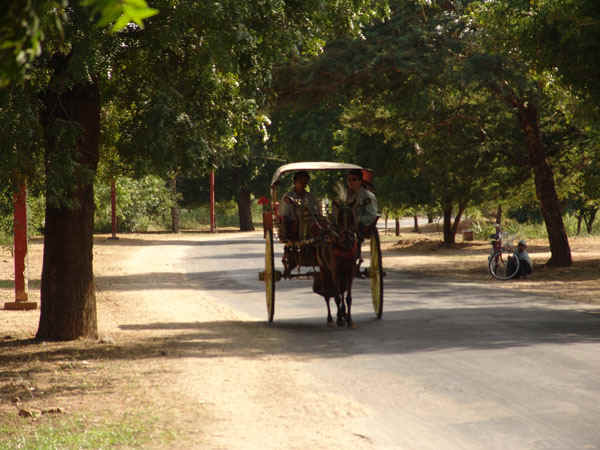 1b.jpg (111613 bytes)