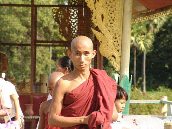 1b.jpg (111613 bytes)