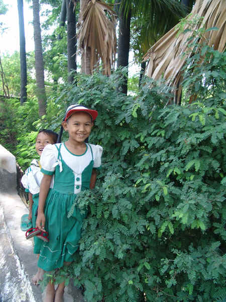 1b.jpg (111613 bytes)