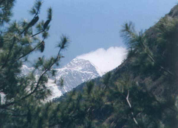 10b.jpg (37888 bytes)