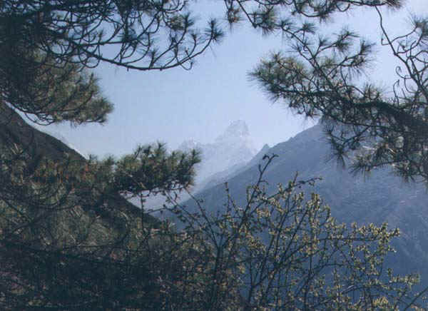 12b.jpg (62866 bytes)