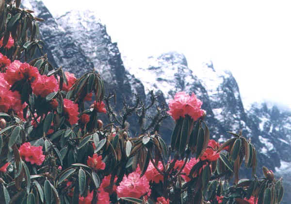 16b.jpg (70210 bytes)