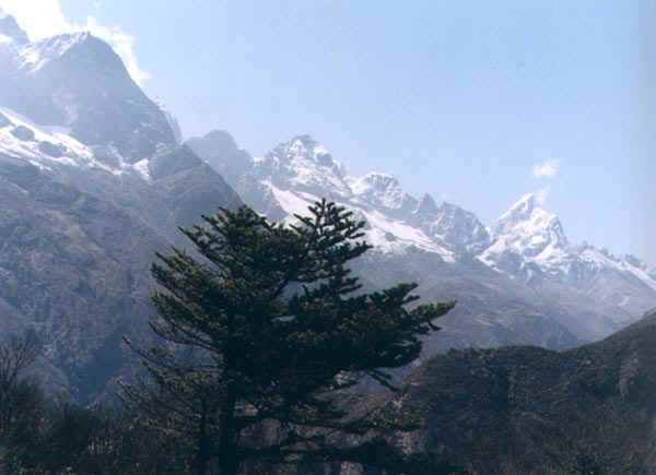 17b.jpg (49279 bytes)