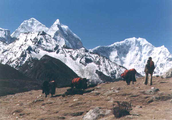 1b.jpg (57606 bytes)