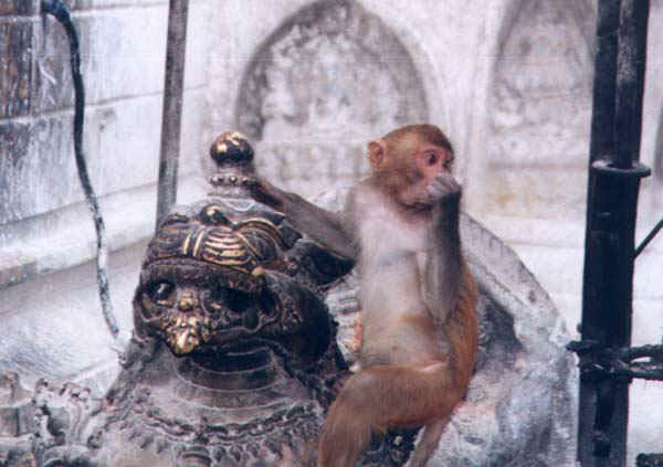 23b.jpg (51407 bytes)