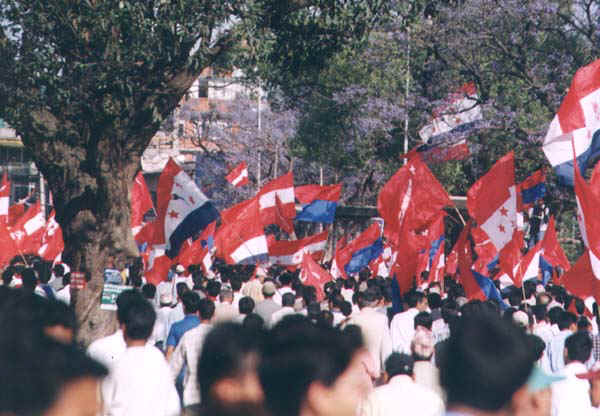 28b.jpg (70961 bytes)