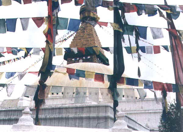 32b.jpg (64054 bytes)