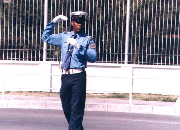 34b.jpg (61066 bytes)