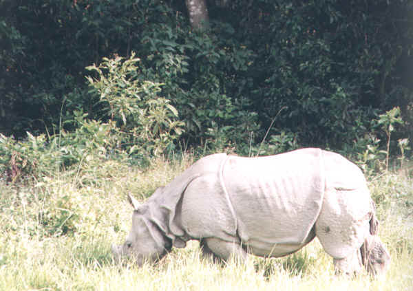 54b.jpg (115467 bytes)